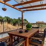 Surya Maison