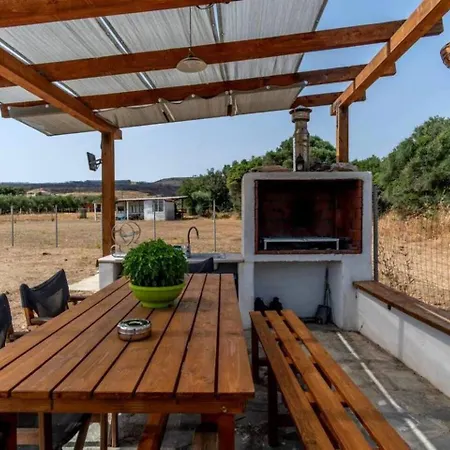 Surya Maison Dikella