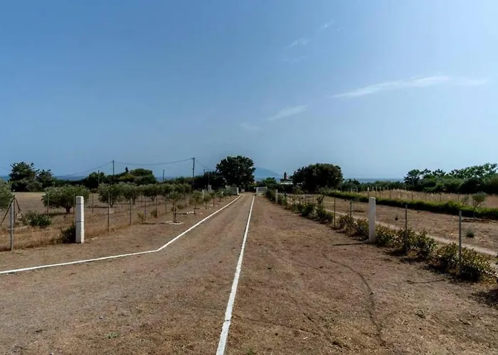 Willa Surya Maison *