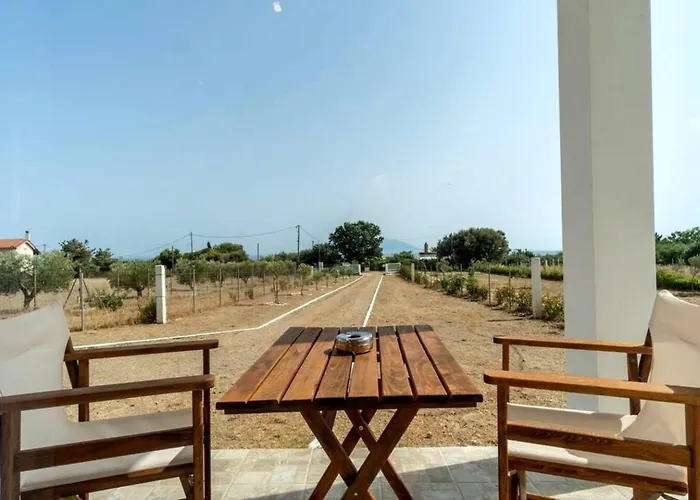 Surya Maison Willa Dikella